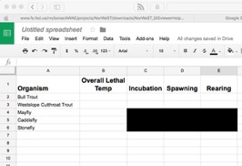 Spreadsheet