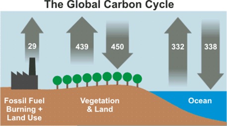 Global Climate Cycle