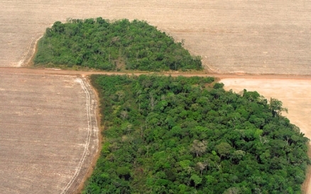 brazilmato_grosso_deforestation_-pedro_biondi-_12ago2007_438x0_scale