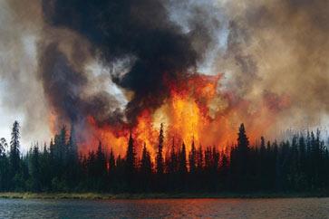 alaska-forest-fire