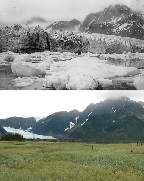 pedersen glacier 1920-2005