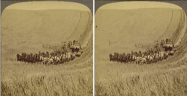harvesting