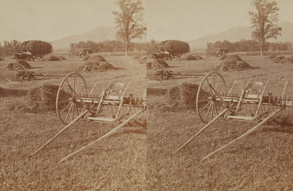 haymaking