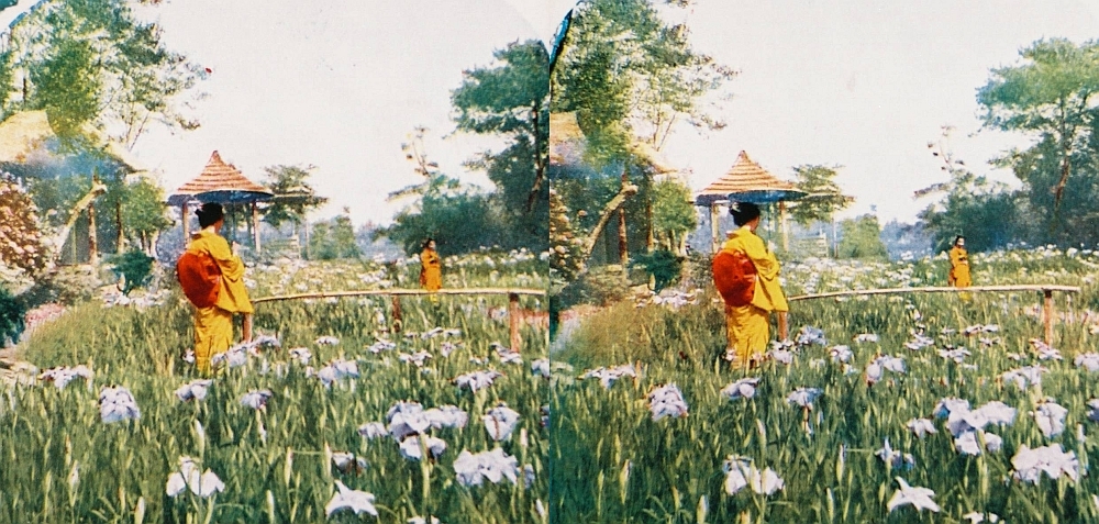 japanese-sr