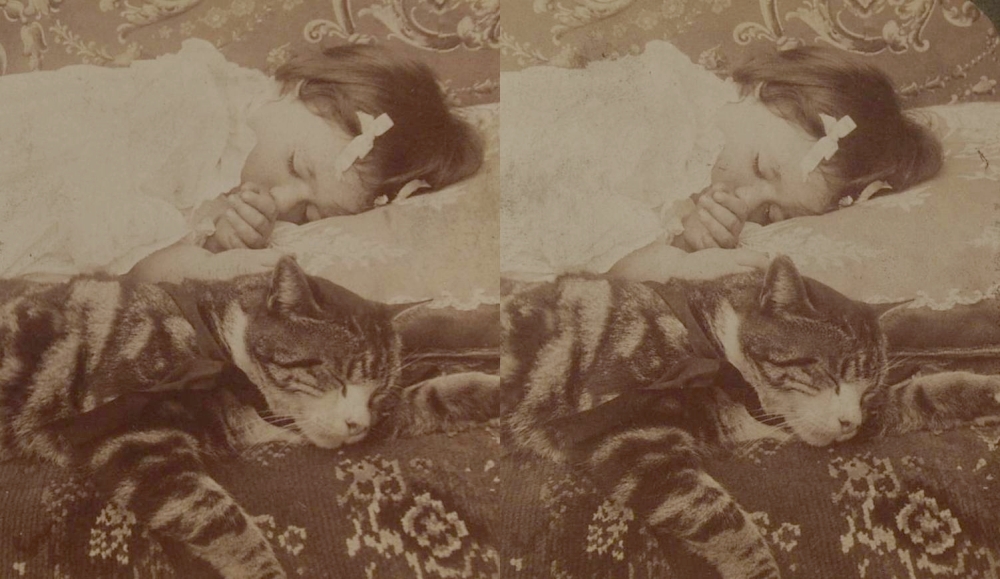sleepy2